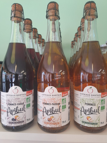 Boisson pétillante fruitée BIO