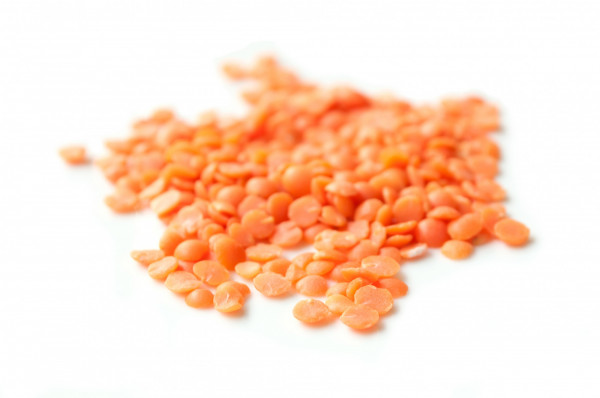Lentilles Corail vrac BIO