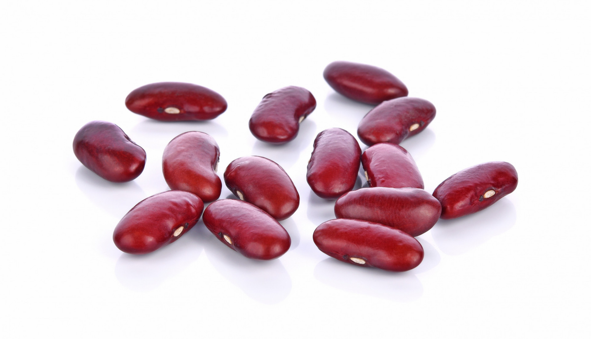 Haricots rouges BIO