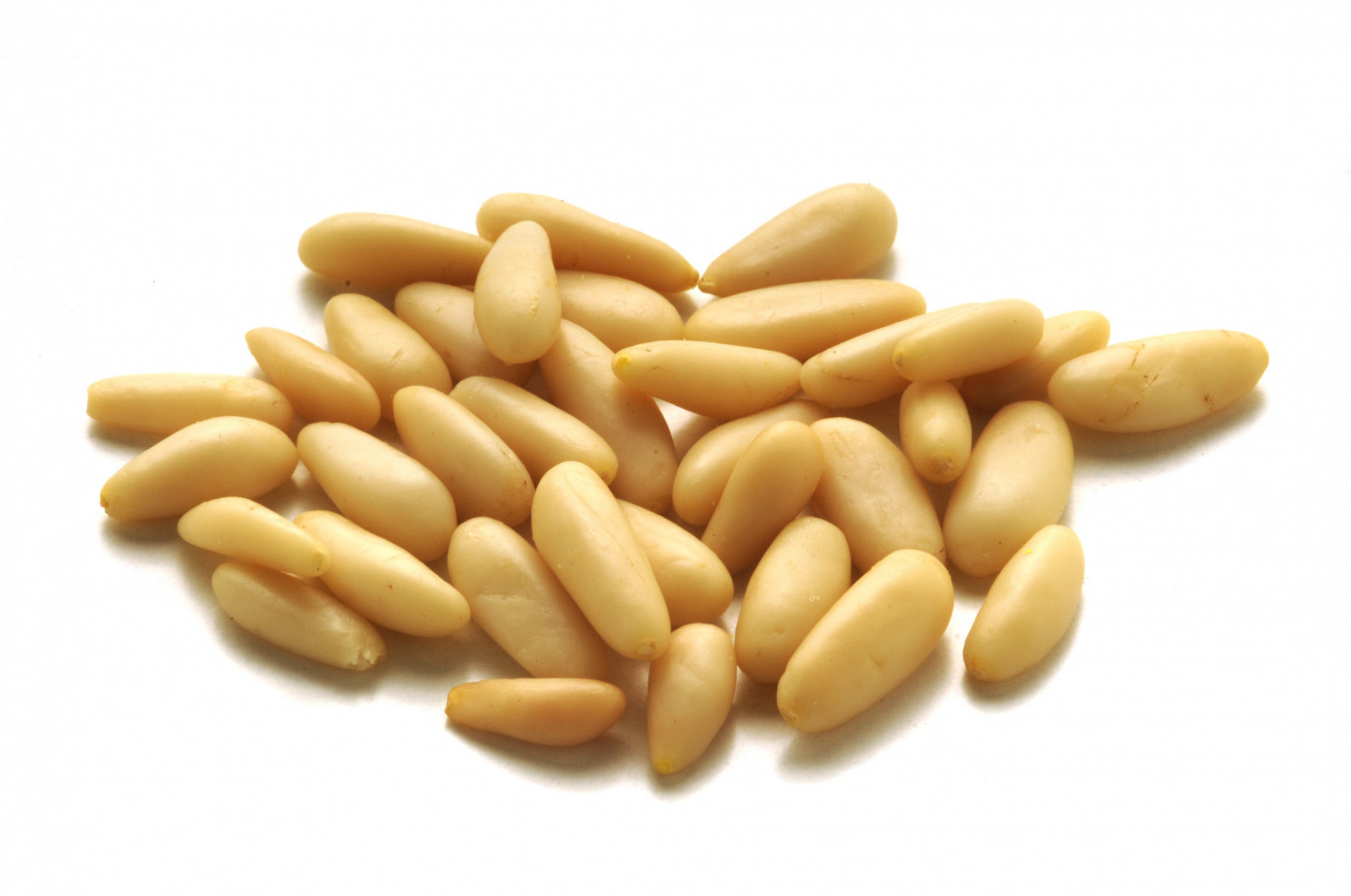 Pignon de pin
