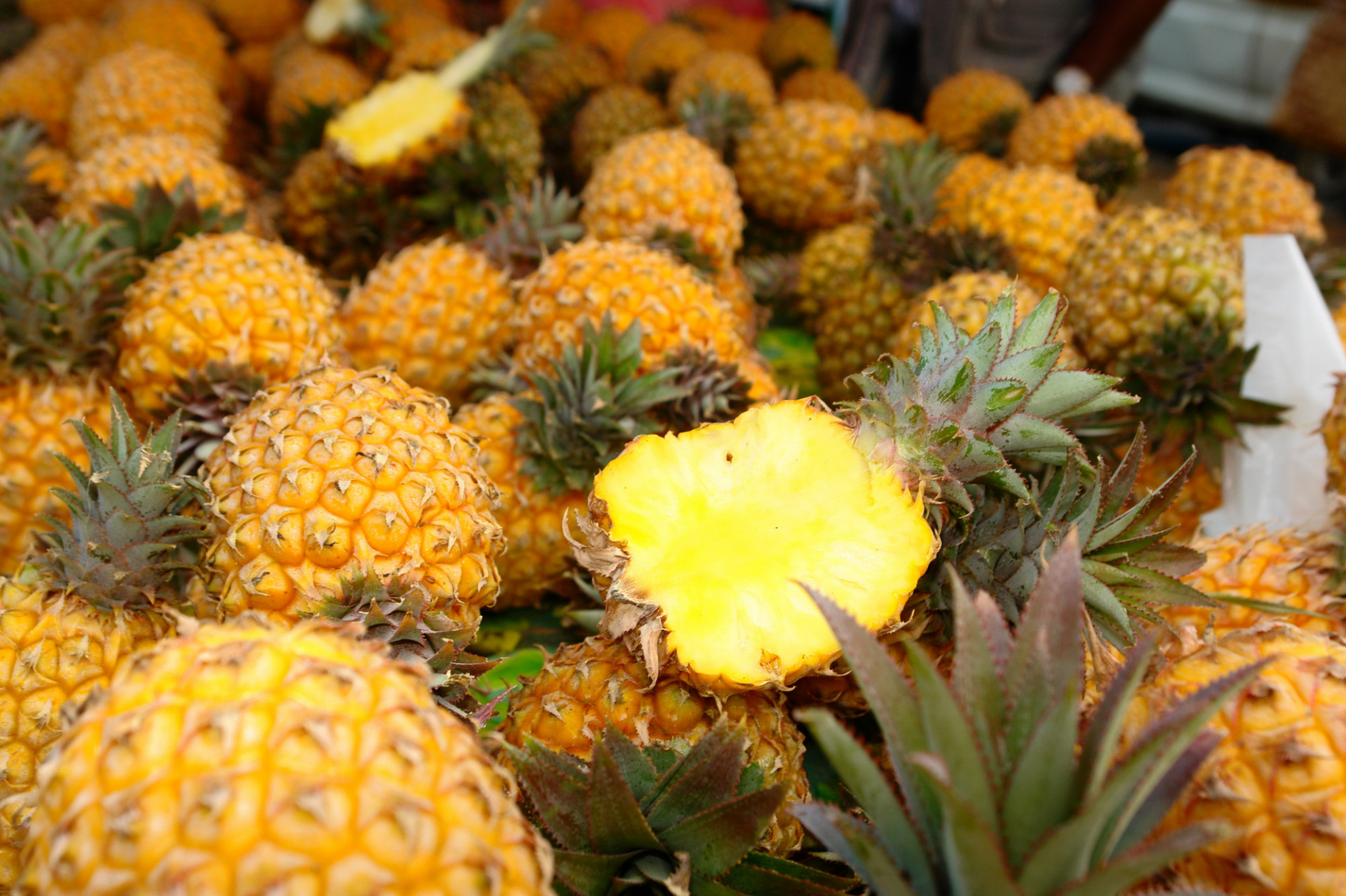 Ananas Victoria