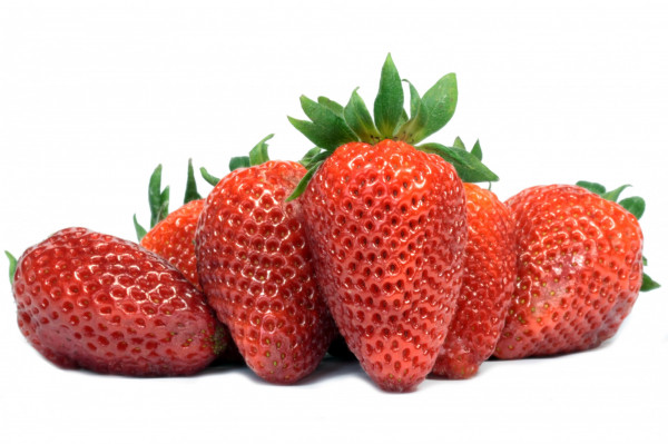Fraises charlotte BIO