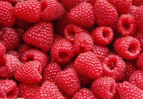 Framboise 125g