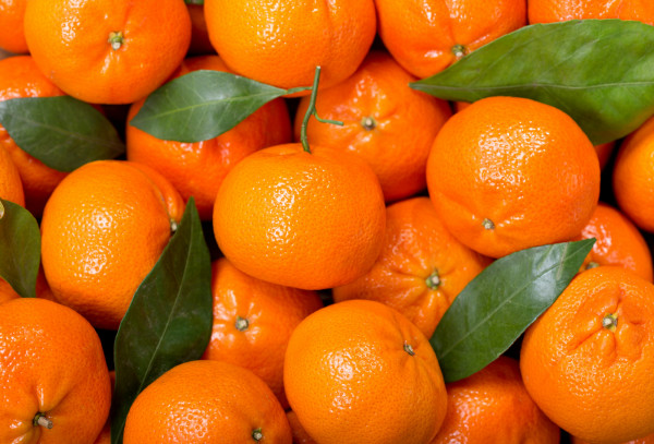 Mandarine Orri