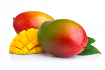 Mangue (Avion) Kent