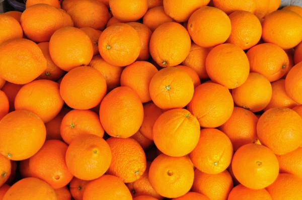 Orange Lulu