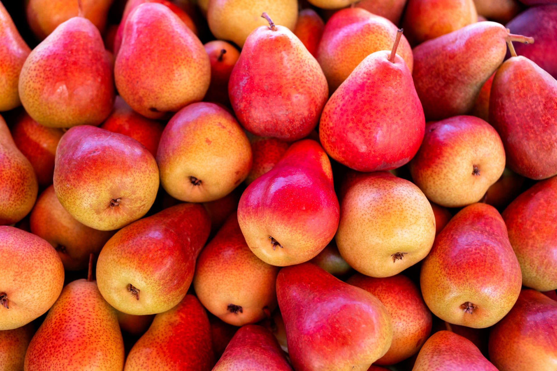 Poire william Rouge BIO