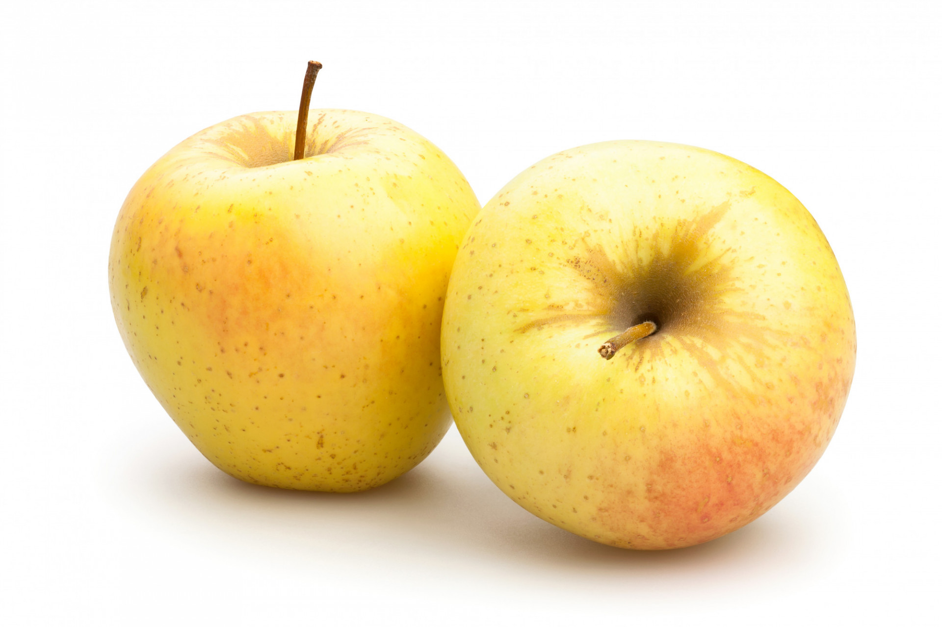 Pomme Goldrush BIO