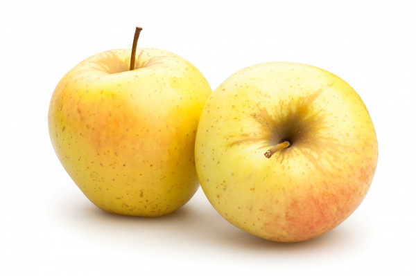 Pomme Goldrush BIO