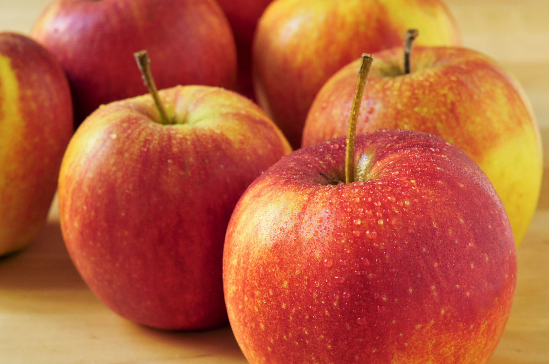 Pomme reine des reinettes