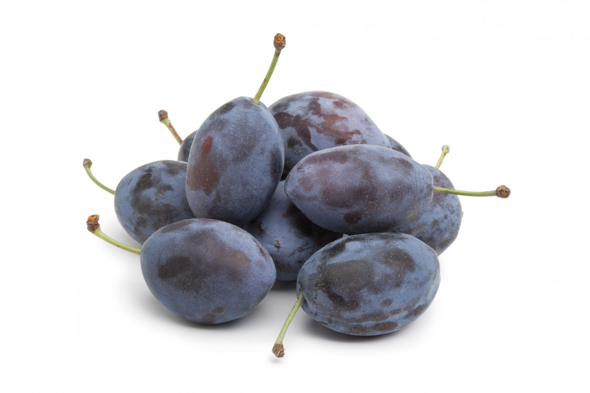 Prune Quetsche