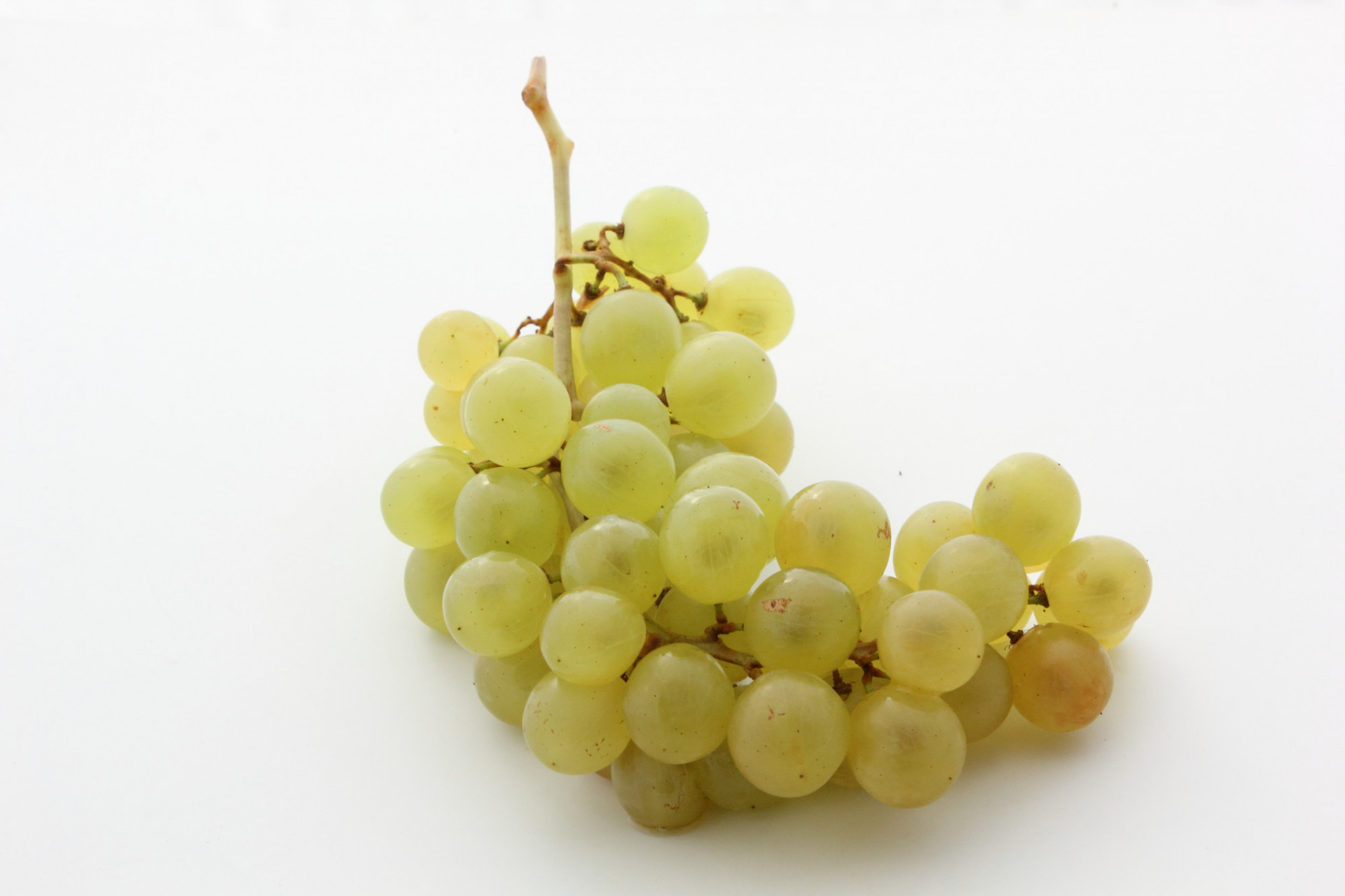 Raisin Chasselas Moissac Extra AOP