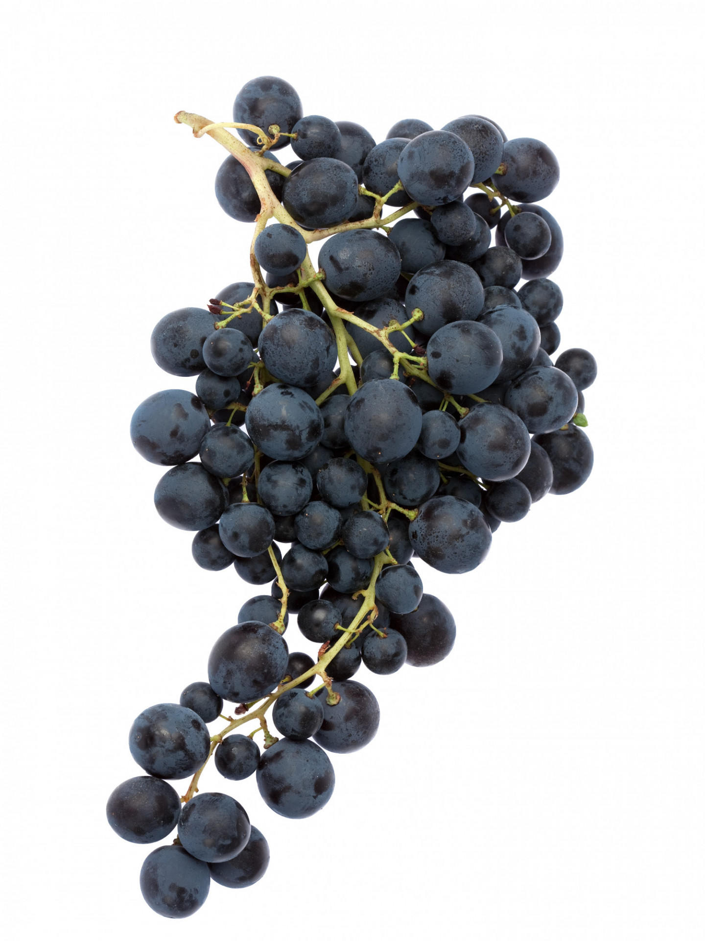 Raisin noir Muscat Extra