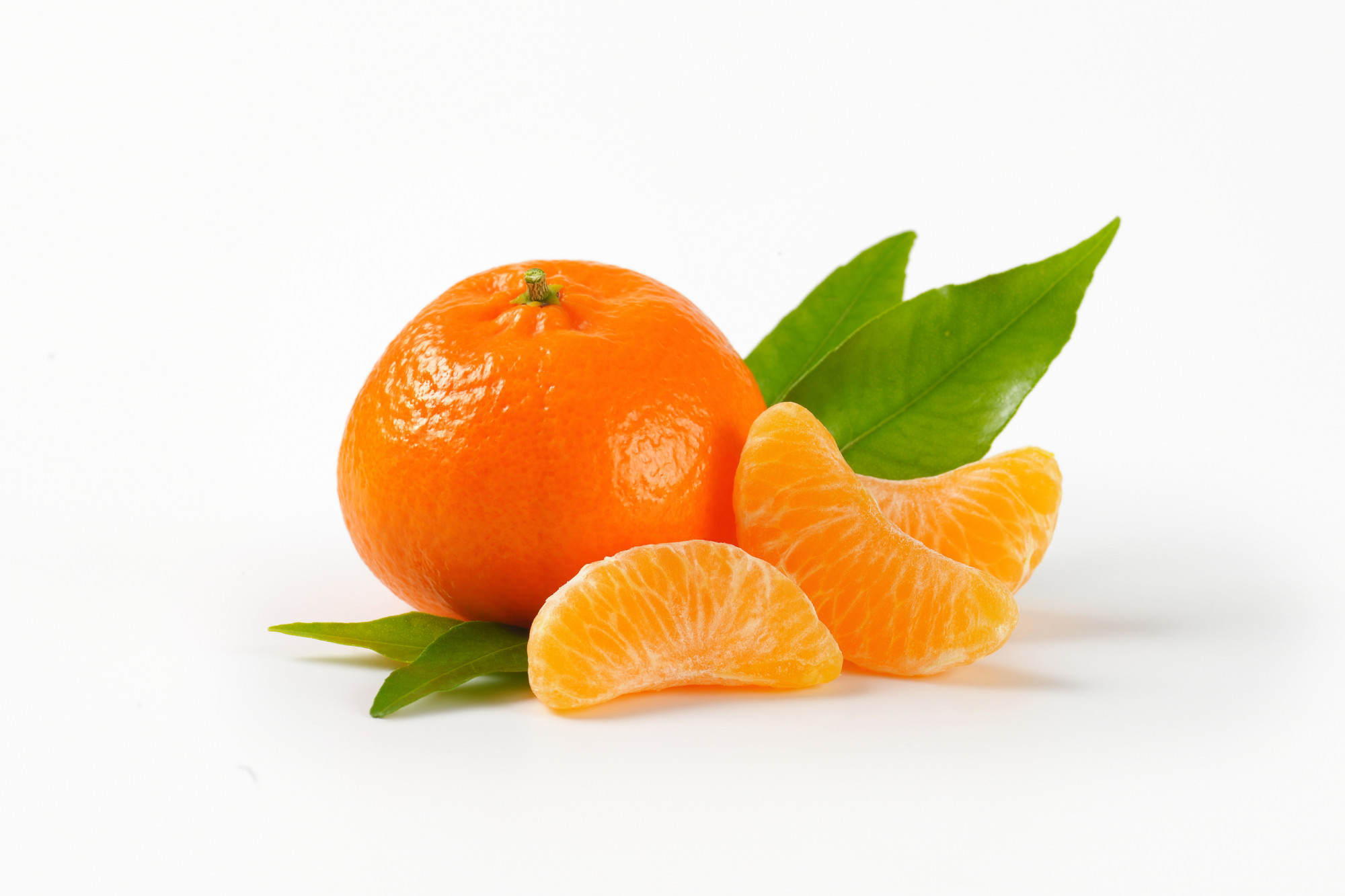 Mandarine socculente non traitée extra