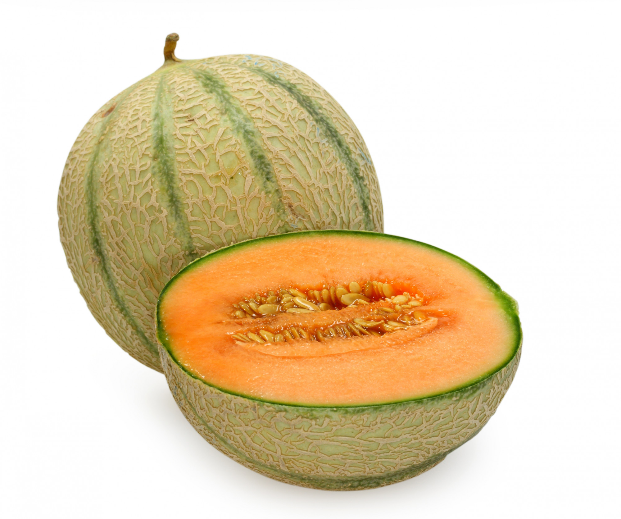 Melon charentais BIO