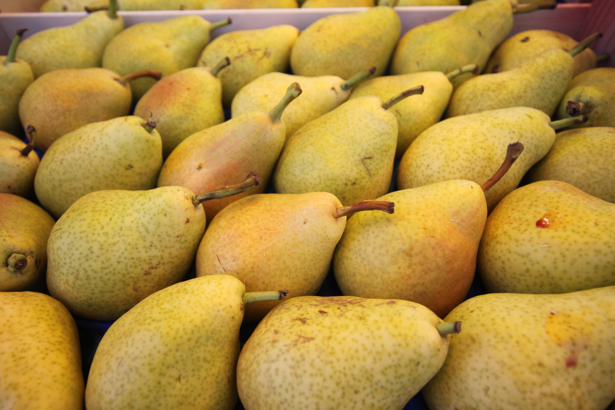 Poire comice