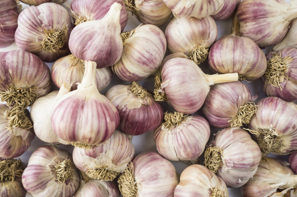 Ail violet