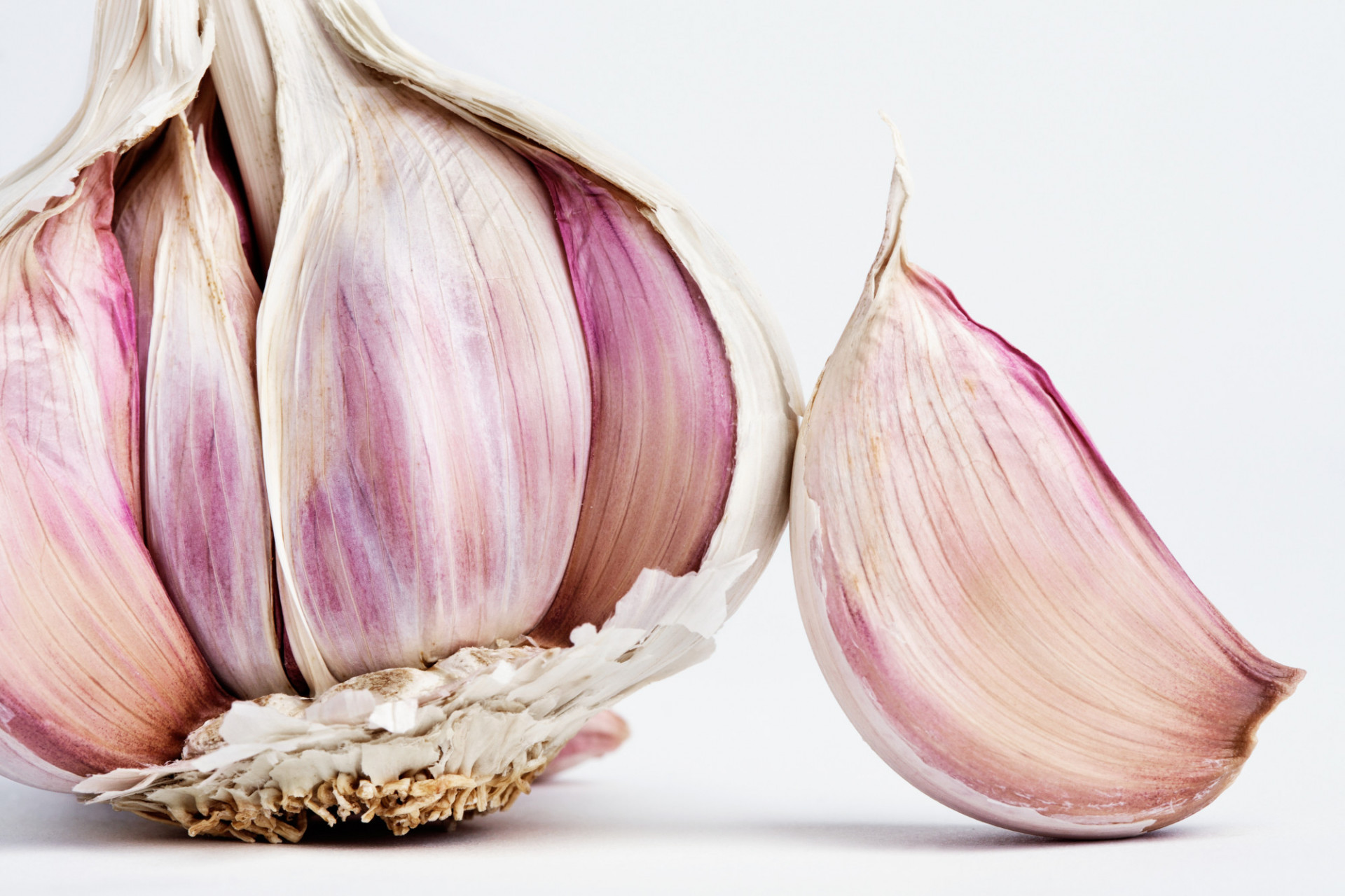 Ail violet