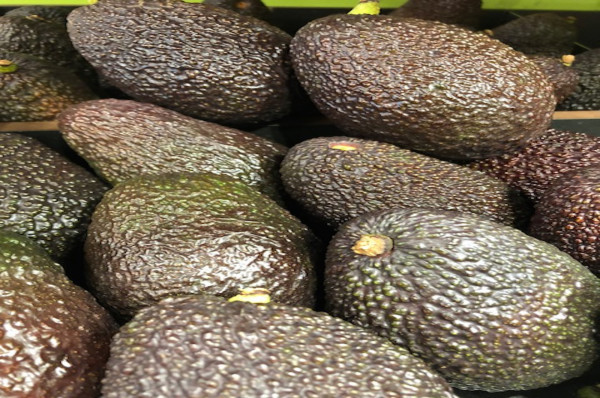 Avocat mûr à point (à consommer dans 1/3 jours)