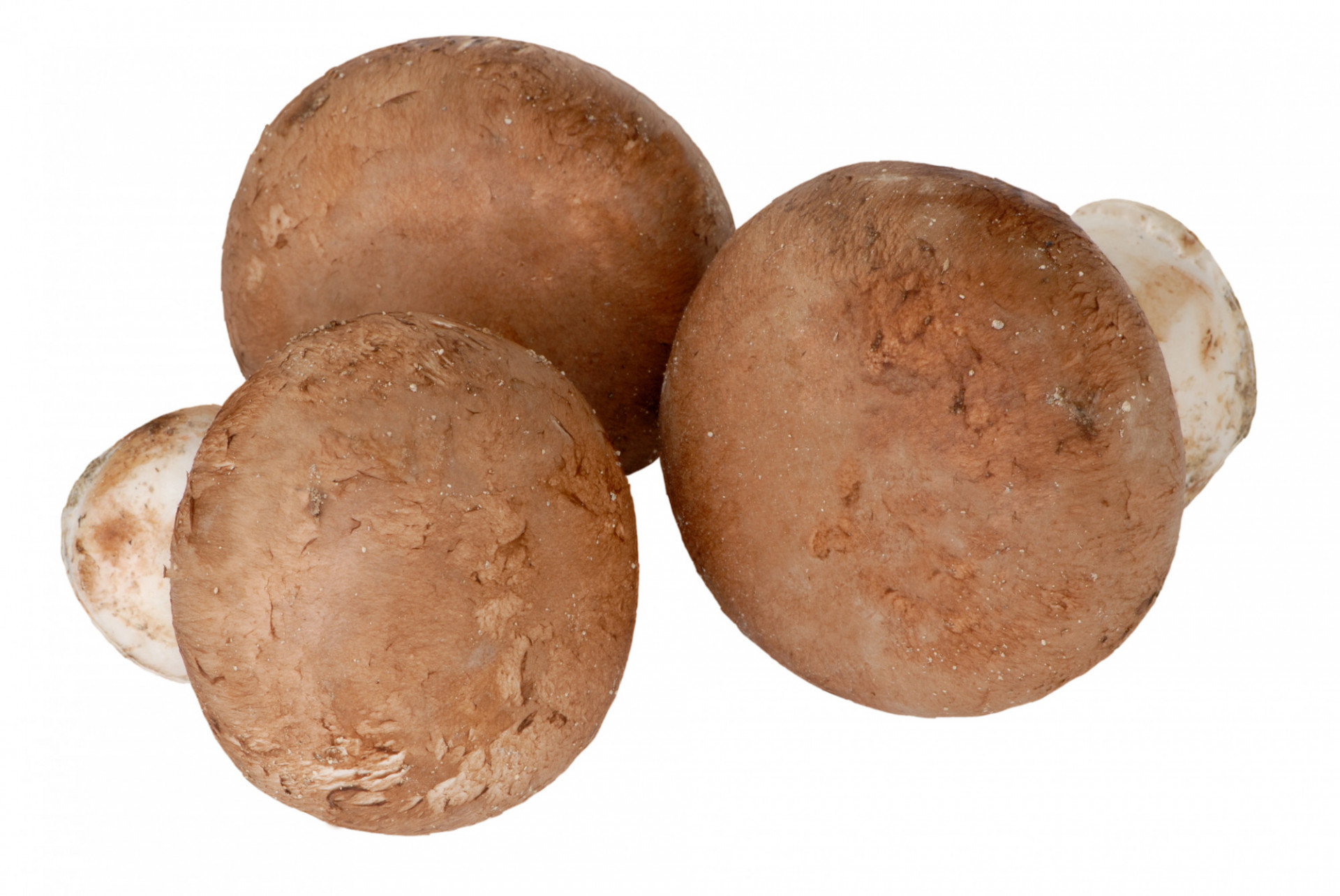 Champignons Blonds Pieds Entiers