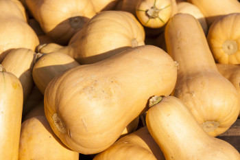 Courges