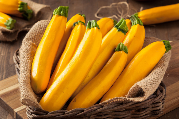 Courgette jaune BIO