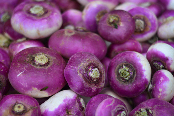 Navet violet nouveau