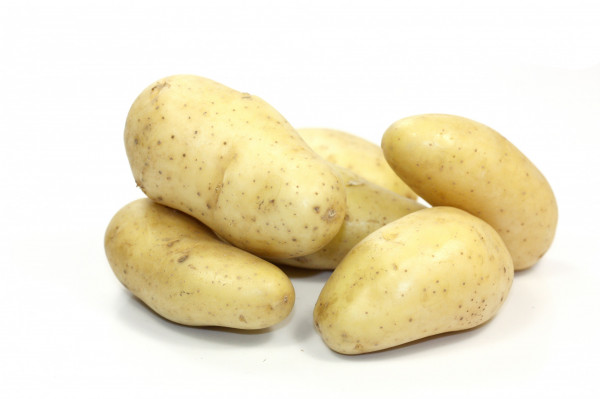 Pomme de terre Monique