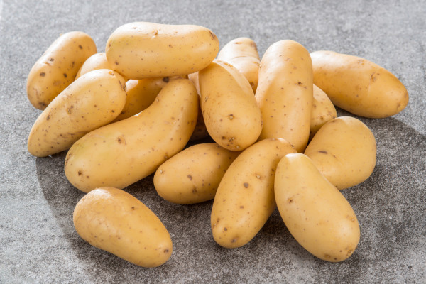 Pomme de terre grenaille Jazzy