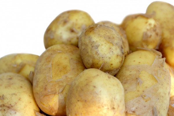 Pomme de terre nouvelle BIO