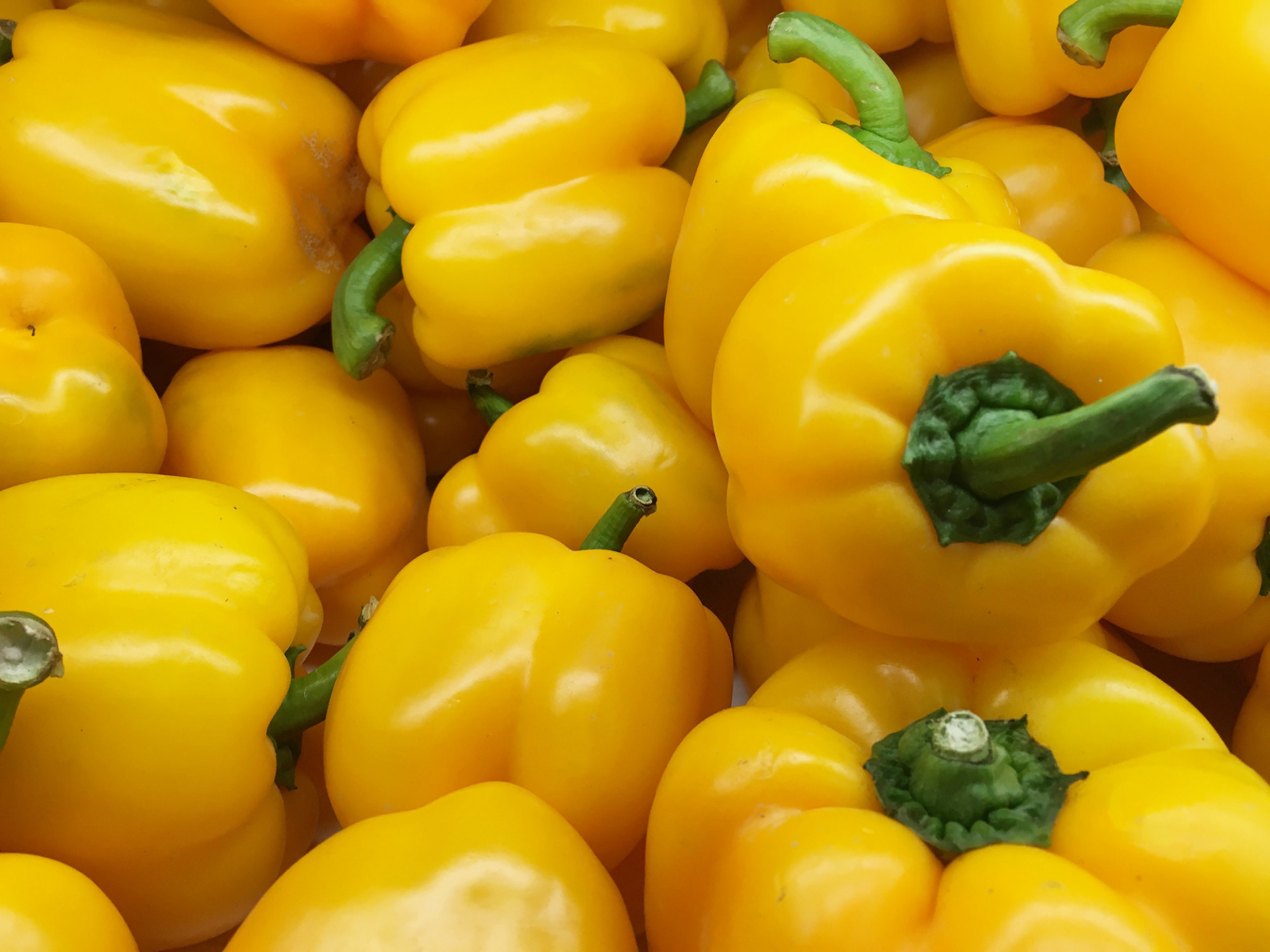 Poivrons Jaune