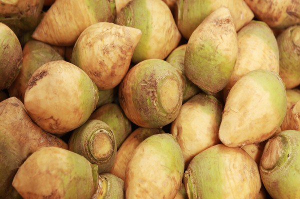 Rutabaga