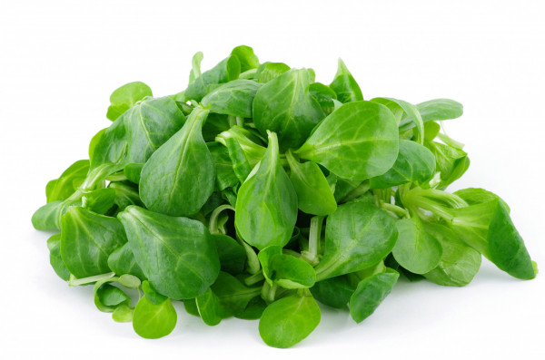 Salade Mâche