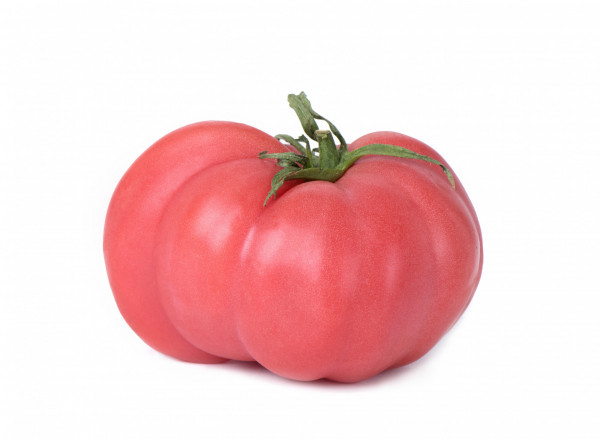 Tomate rose de Berne BIO