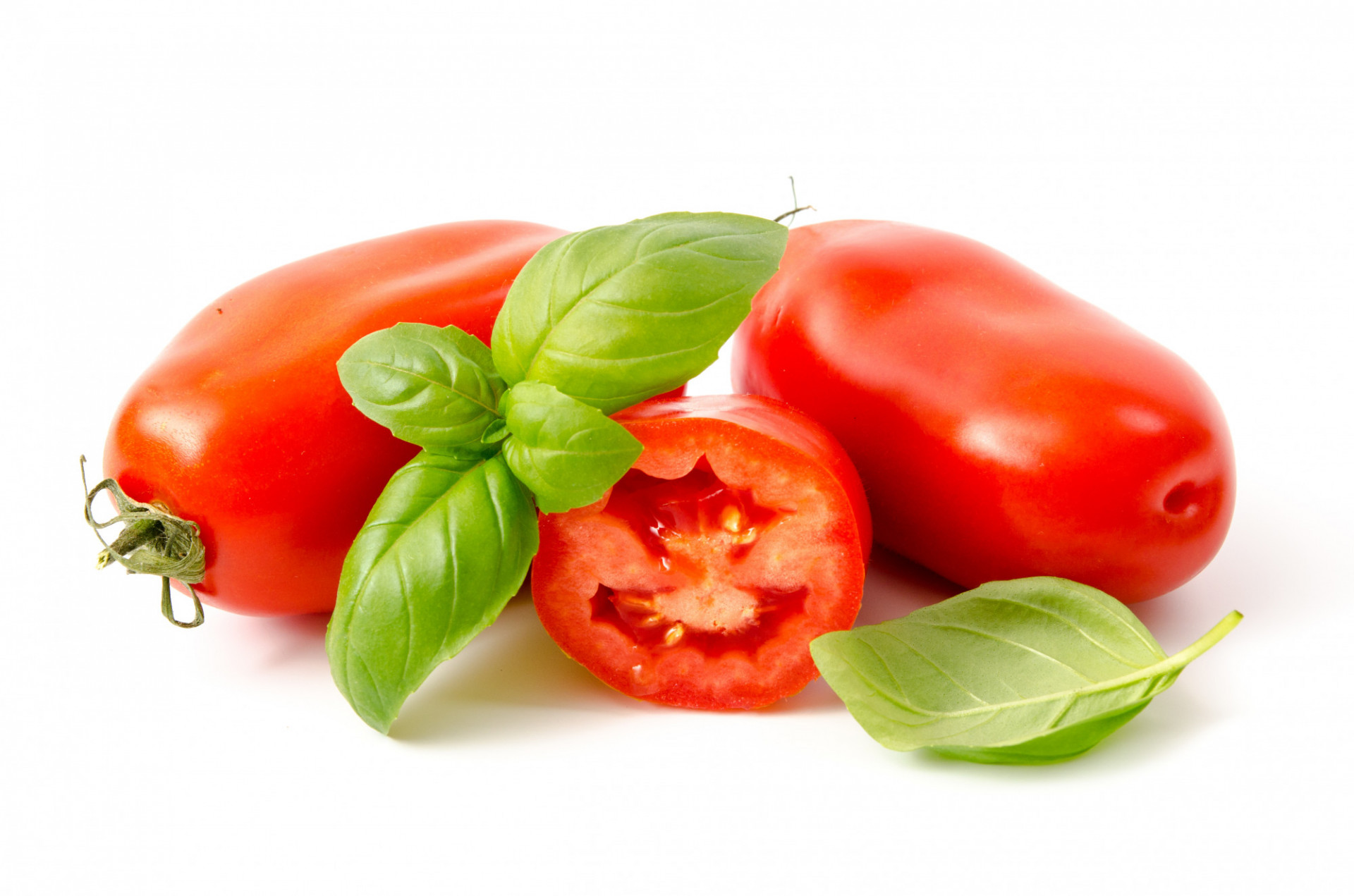 Tomate Allongée Torino