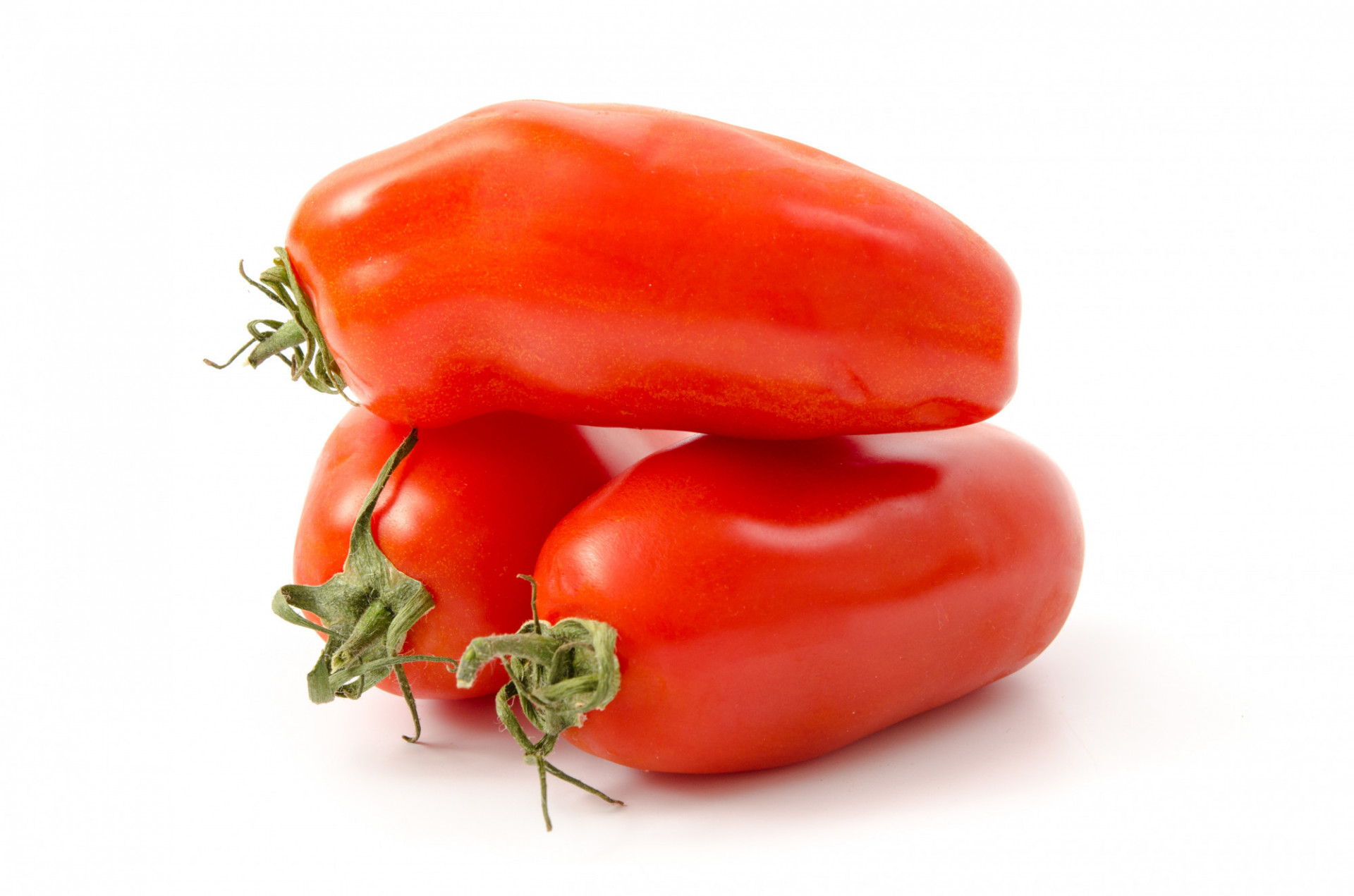 Tomate Allongée Torino