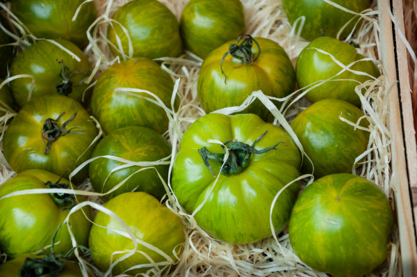 Tomate verte zébrée