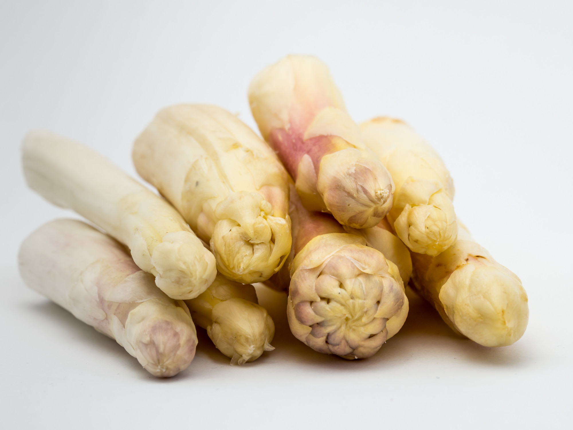 Asperge blanche pointe