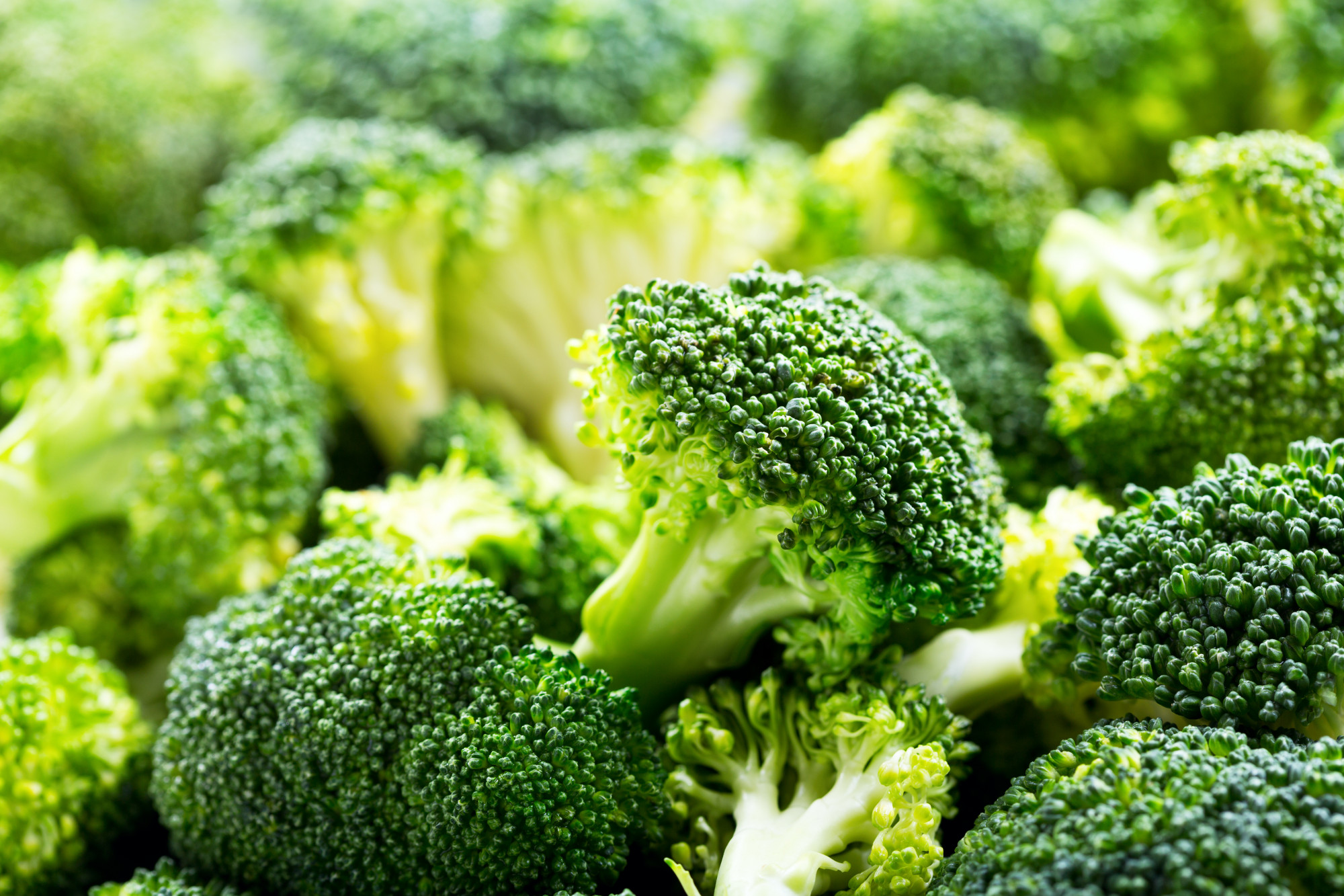Brocoli BIO