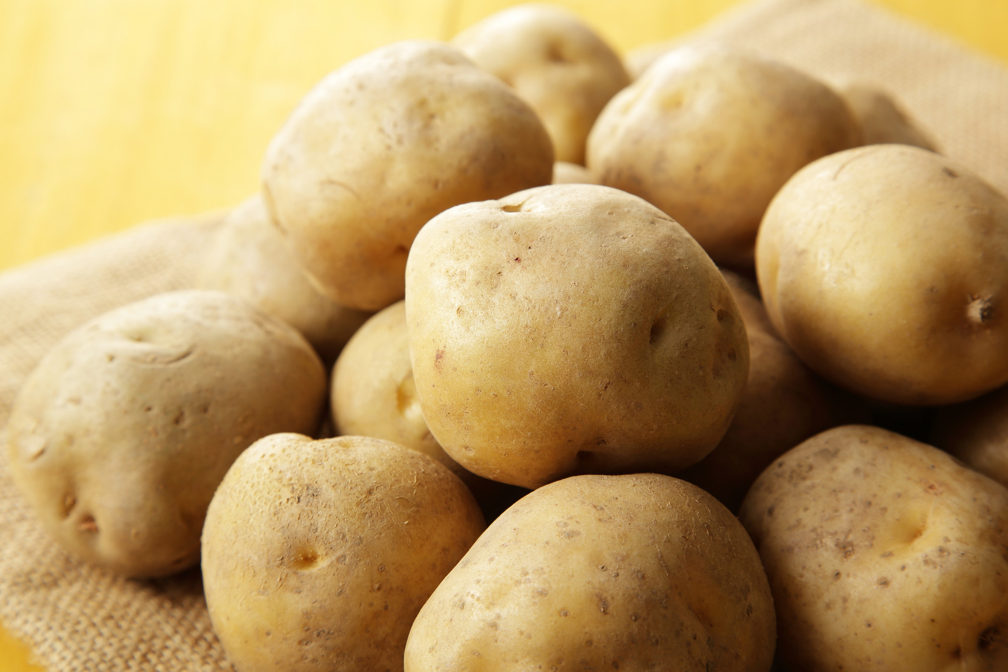 Pomme de terre Bintje