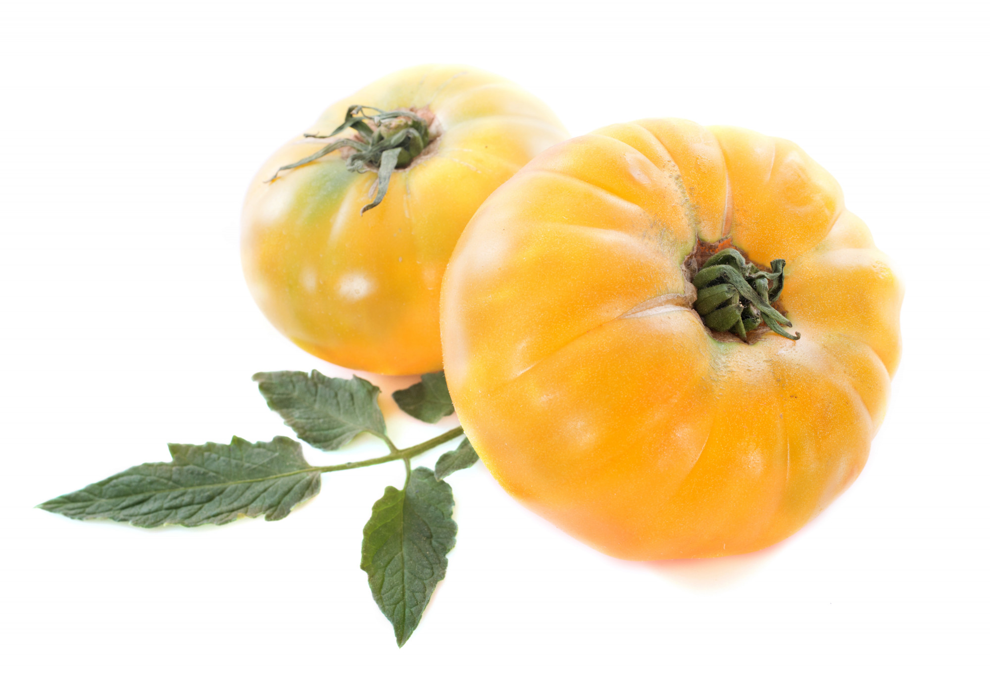 Tomate Ananas BIO