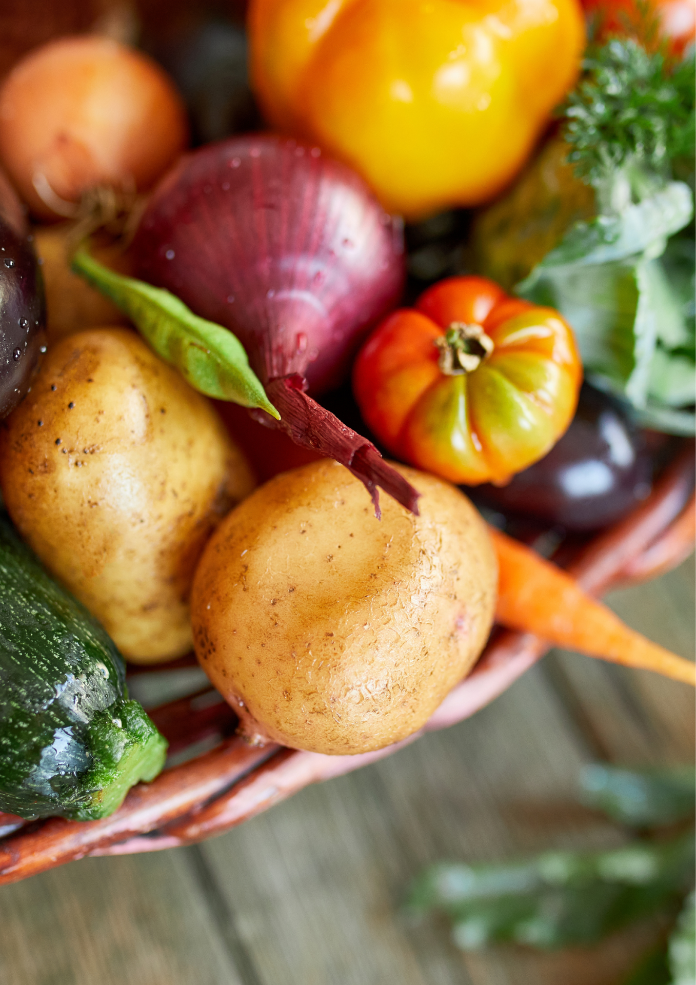 Compositions légumes saison