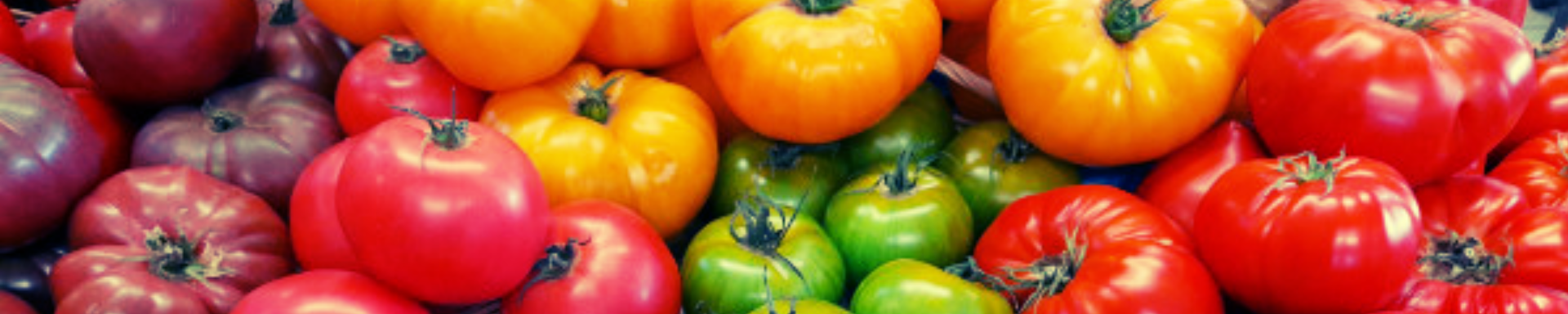 bandeau tomates