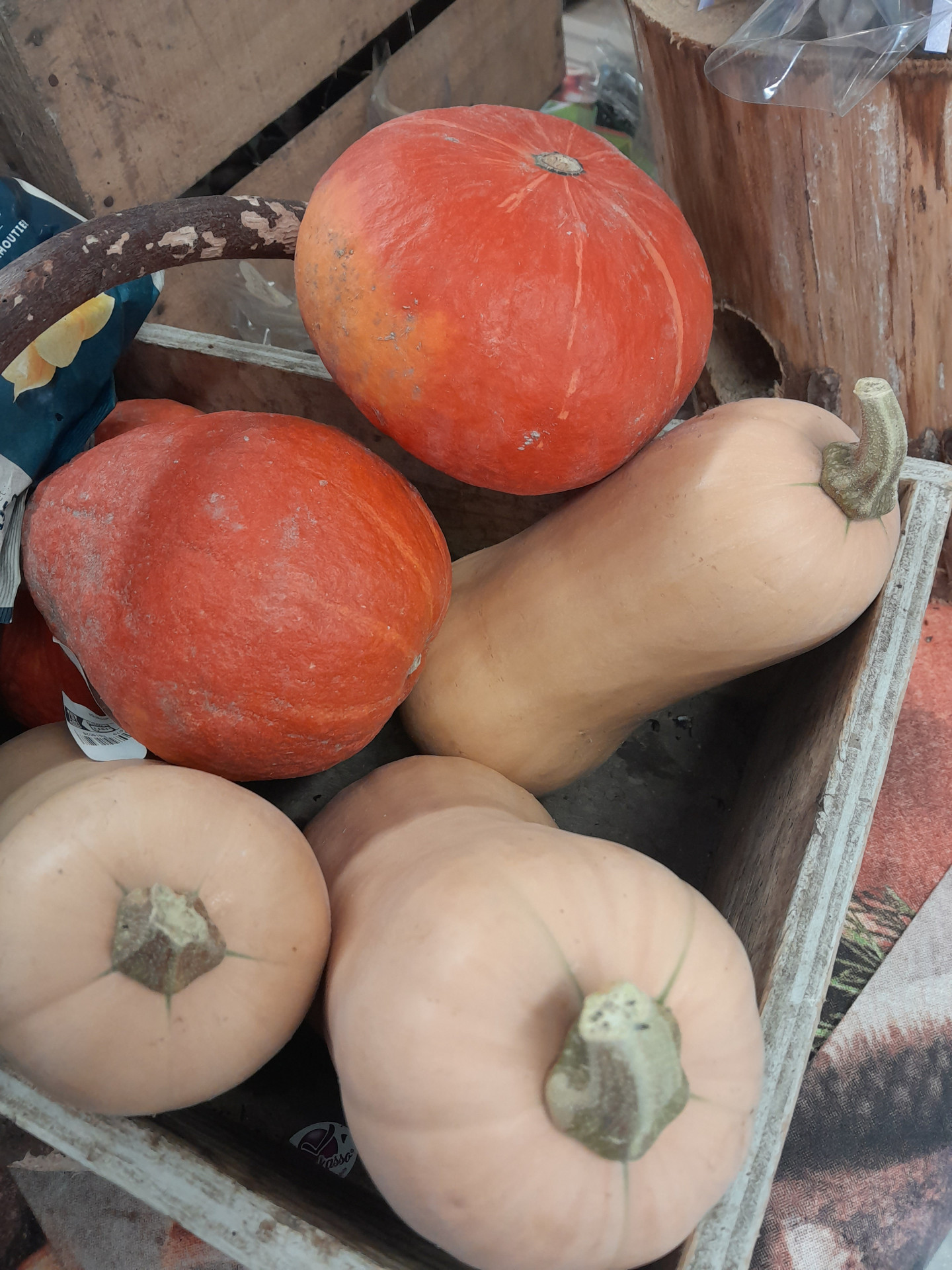 Lot de 2 courges