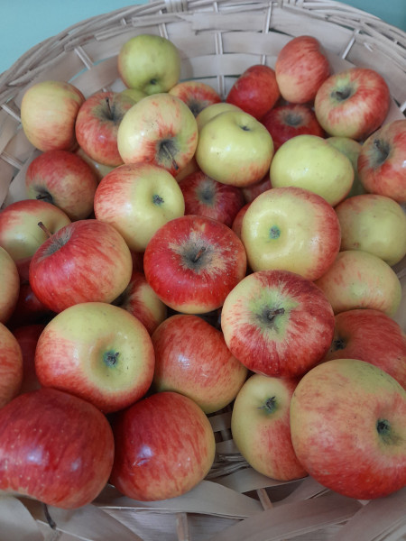 Pomme Topaz BIO