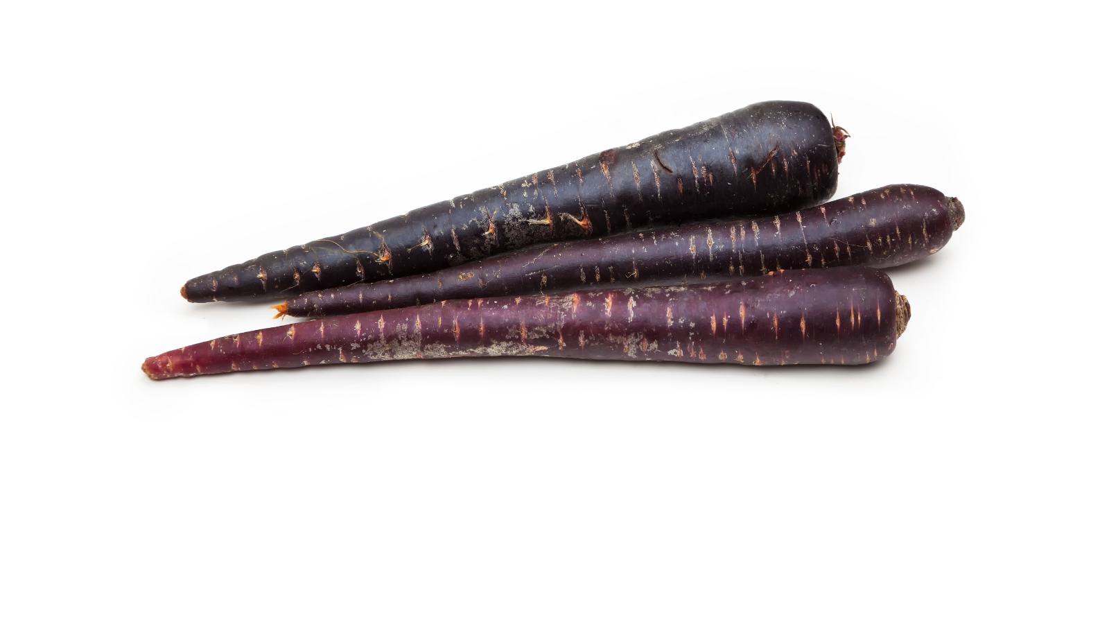 Carotte violette