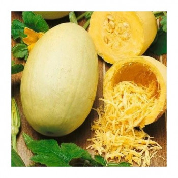 Légumes