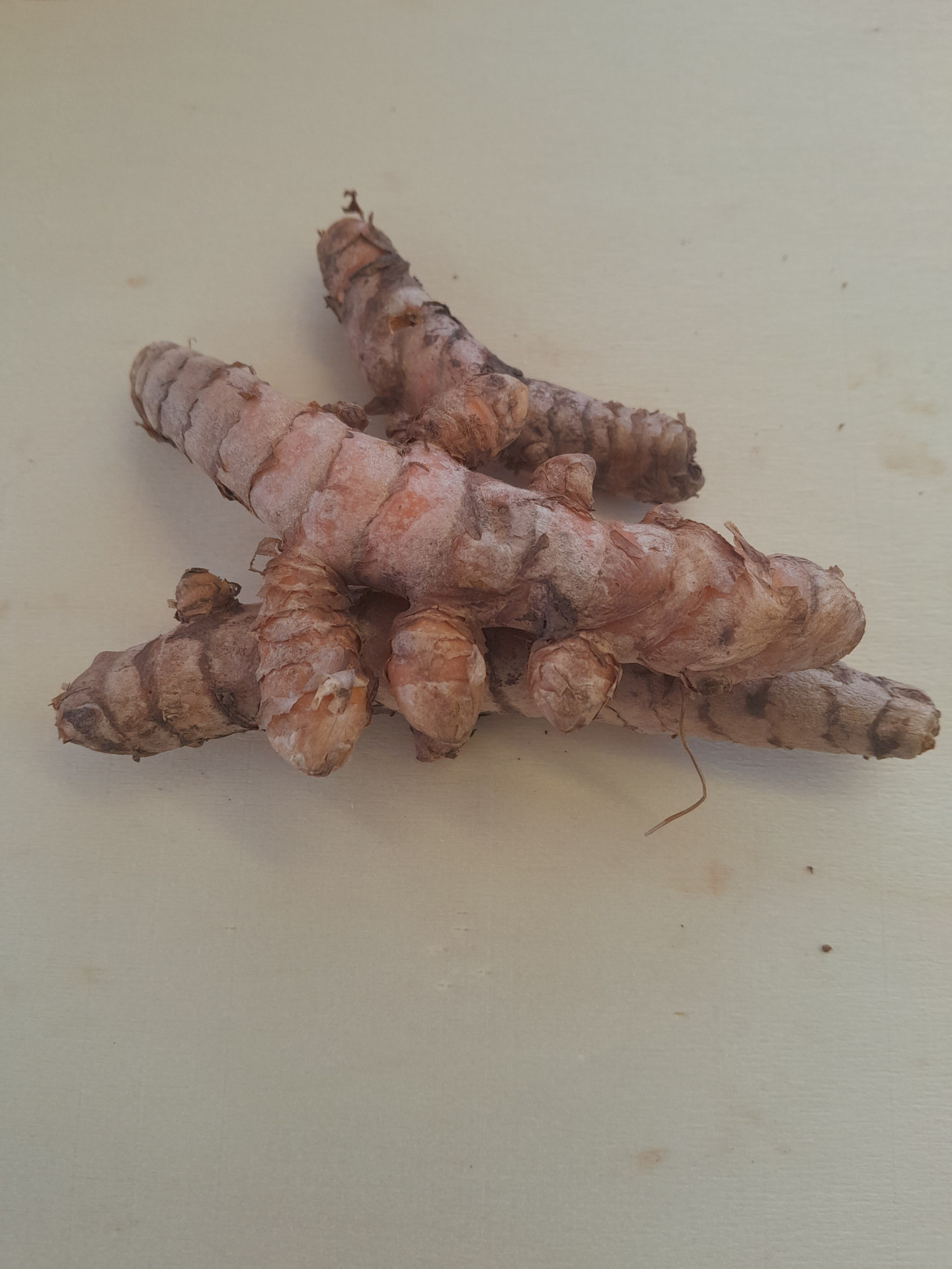 Curcuma racine BIO