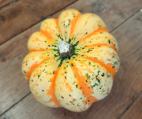 Courge patidou