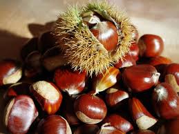 Marrons frais